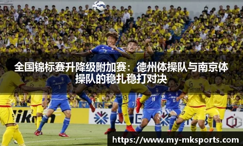 全国锦标赛升降级附加赛：德州体操队与南京体操队的稳扎稳打对决